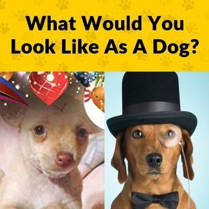 Meet your Posher, Jerry